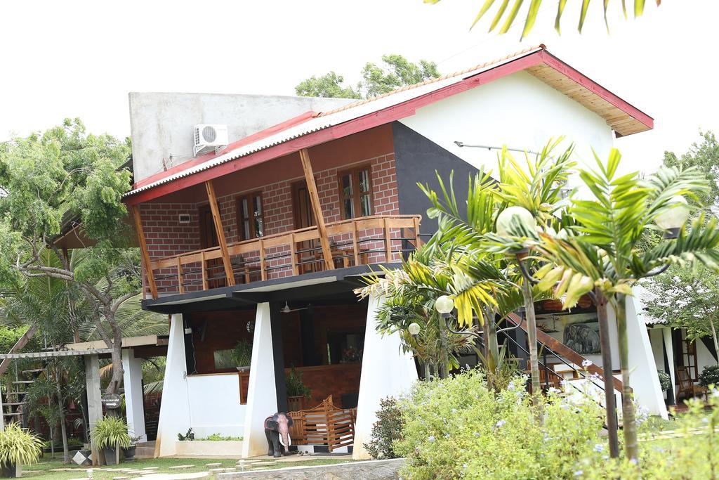 Eco Hotel Black&White - Anuradhapura Mihintale Exterior foto